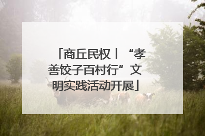 商丘民权丨“孝善饺子百村行”文明实践活动开展