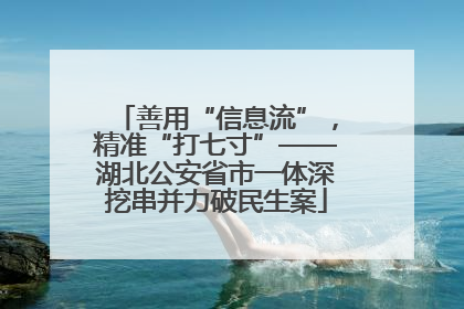 善用“信息流”，精准“打七寸”——湖北公安省市一体深挖串并力破民生案