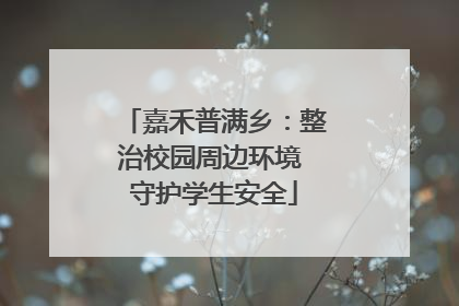 嘉禾普满乡：整治校园周边环境 守护学生安全
