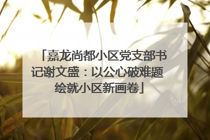 嘉龙尚都小区党支部书记谢文盛：以公心破难题 绘就小区新画卷
