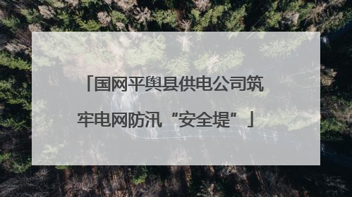 国网平舆县供电公司筑牢电网防汛“安全堤”