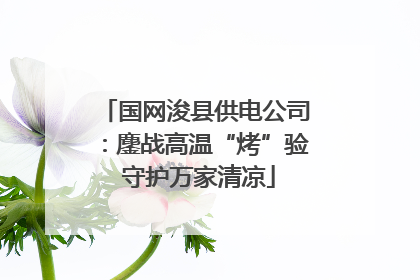国网浚县供电公司：鏖战高温“烤”验 守护万家清凉