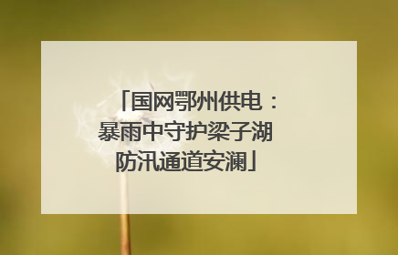 国网鄂州供电：暴雨中守护梁子湖防汛通道安澜
