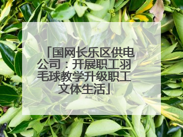 国网长乐区供电公司：开展职工羽毛球教学升级职工文体生活