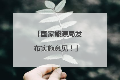 国家能源局发布实施意见！