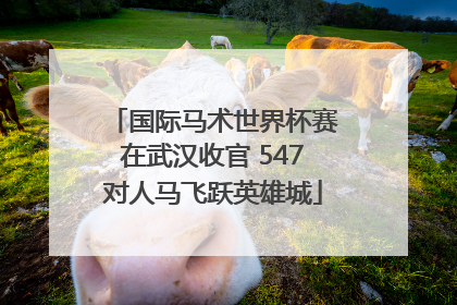 国际马术世界杯赛在武汉收官 547对人马飞跃英雄城