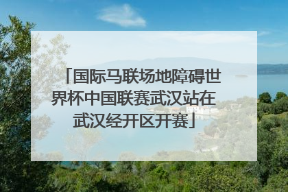 国际马联场地障碍世界杯中国联赛武汉站在武汉经开区开赛