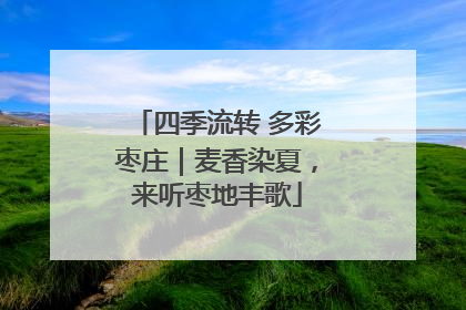 四季流转 多彩枣庄｜麦香染夏，来听枣地丰歌