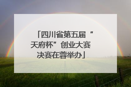 四川省第五届“天府杯”创业大赛决赛在蓉举办