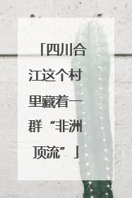 四川合江这个村里藏着一群“非洲顶流”