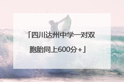 四川达州中学一对双胞胎同上600分+