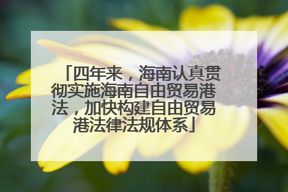 四年来，海南认真贯彻实施海南自由贸易港法，加快构建自由贸易港法律法规体系