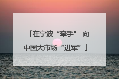 在宁波“牵手” 向中国大市场“进军”