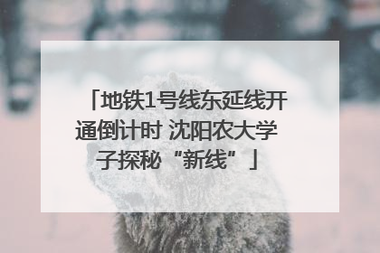 地铁1号线东延线开通倒计时 沈阳农大学子探秘“新线”