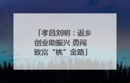 孝昌刘明：返乡创业助振兴 勇闯致富“桃”金路