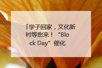 学子回家，文化新村等您来！“Block Day”催化学院式街区新生态