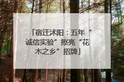 宿迁沭阳：五年“诚信实验”擦亮“花木之乡”招牌