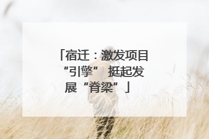 宿迁：激发项目“引擎” 挺起发展“脊梁”