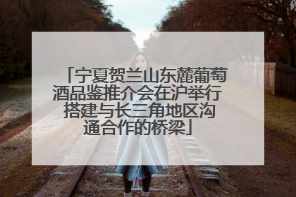 宁夏贺兰山东麓葡萄酒品鉴推介会在沪举行 搭建与长三角地区沟通合作的桥梁