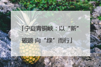 宁夏青铜峡：以“新”破题 向“绿”而行