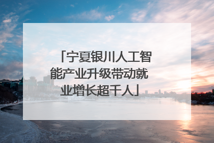 宁夏银川人工智能产业升级带动就业增长超千人