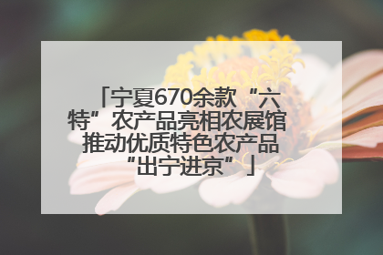 宁夏670余款“六特”农产品亮相农展馆 推动优质特色农产品“出宁进京”