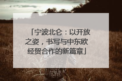 宁波北仑：以开放之姿，书写与中东欧经贸合作的新篇章