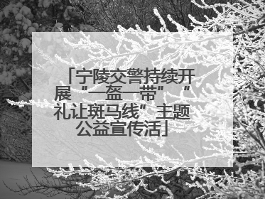 宁陵交警持续开展“一盔一带”“礼让斑马线”主题公益宣传活