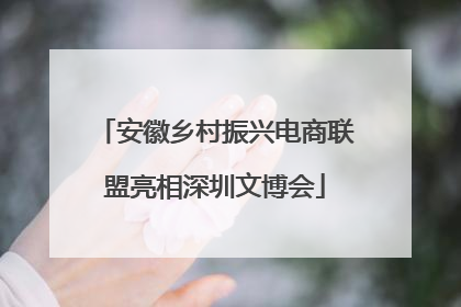 安徽乡村振兴电商联盟亮相深圳文博会