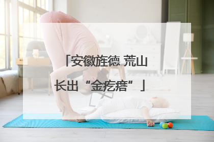安徽旌德 荒山长出“金疙瘩”