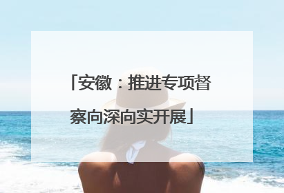 安徽：推进专项督察向深向实开展
