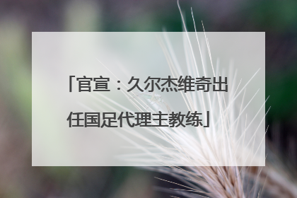 官宣：久尔杰维奇出任国足代理主教练