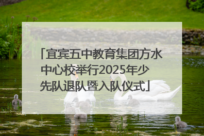 宜宾五中教育集团方水中心校举行2025年少先队退队暨入队仪式