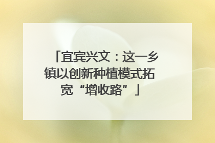 宜宾兴文：这一乡镇以创新种植模式拓宽“增收路”