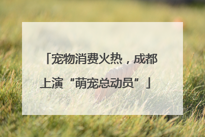 宠物消费火热，成都上演“萌宠总动员”