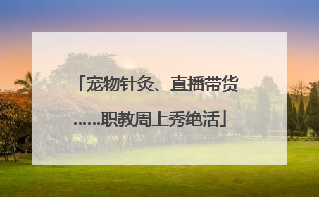 宠物针灸、直播带货……职教周上秀绝活