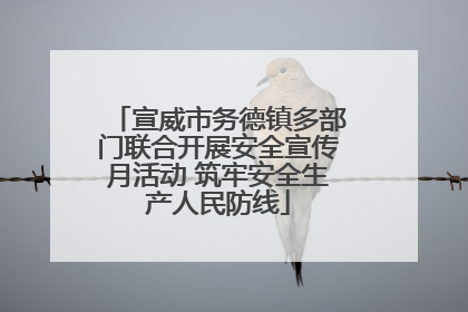宣威市务德镇多部门联合开展安全宣传月活动 筑牢安全生产人民防线