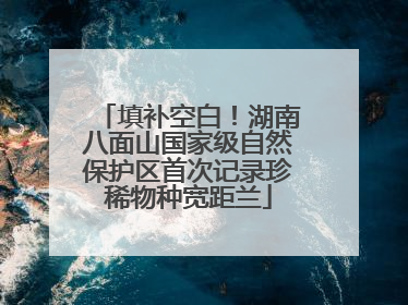 填补空白！湖南八面山国家级自然保护区首次记录珍稀物种宽距兰