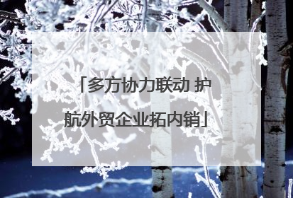 多方协力联动 护航外贸企业拓内销
