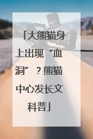 大熊猫身上出现“血洞”？熊猫中心发长文科普