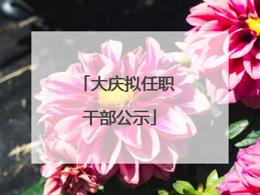 大庆拟任职干部公示