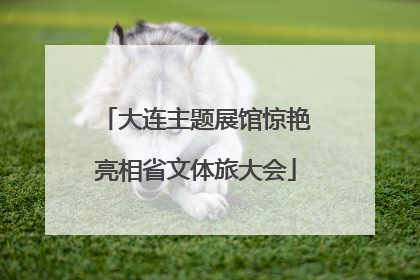 大连主题展馆惊艳亮相省文体旅大会