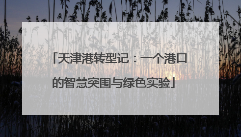 天津港转型记：一个港口的智慧突围与绿色实验