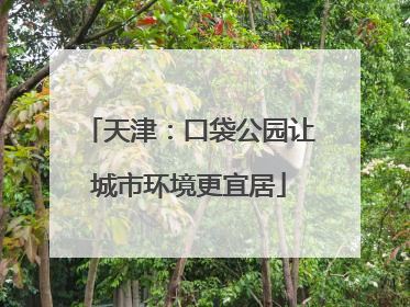 天津：口袋公园让城市环境更宜居