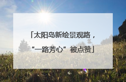太阳岛新绘景观路，“一路芳心”被点赞