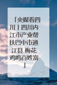央媒看四川丨四川内江市产业帮扶巴中市通江县 梅花鸡鸣百姓富