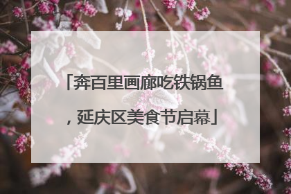 奔百里画廊吃铁锅鱼，延庆区美食节启幕