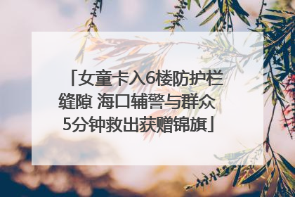 女童卡入6楼防护栏缝隙 海口辅警与群众5分钟救出获赠锦旗