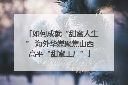 如何成就“甜蜜人生” 海外华媒聚焦山西高平“甜蜜工厂”