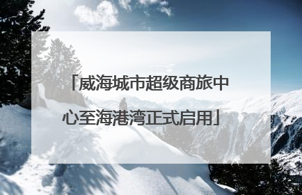 威海城市超级商旅中心至海港湾正式启用